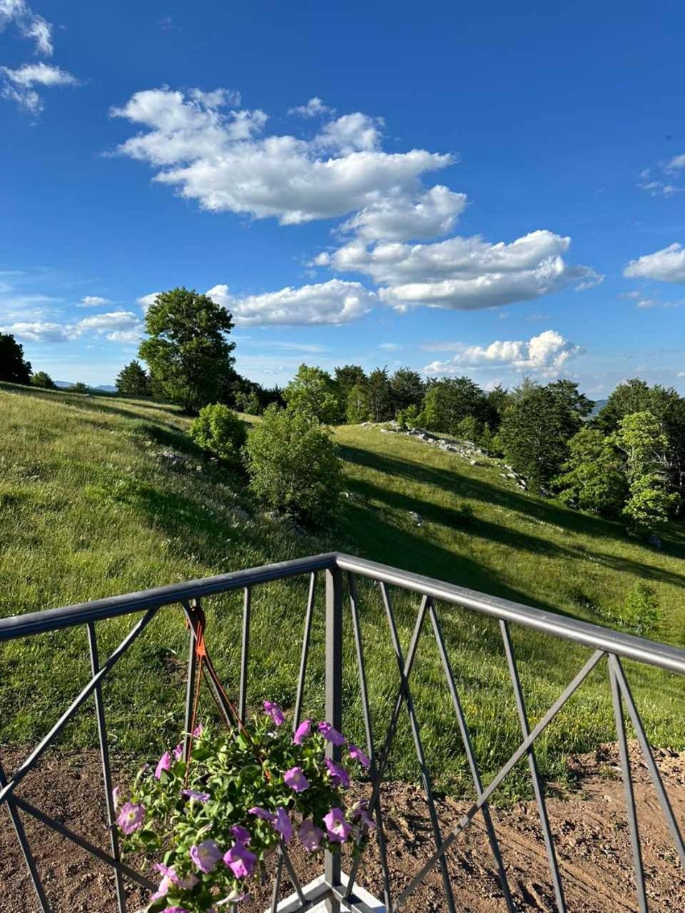 Vila Monte Zone Žabljak Exteriér fotografie